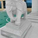贺州 白麻花岗岩动物异形石雕-大象