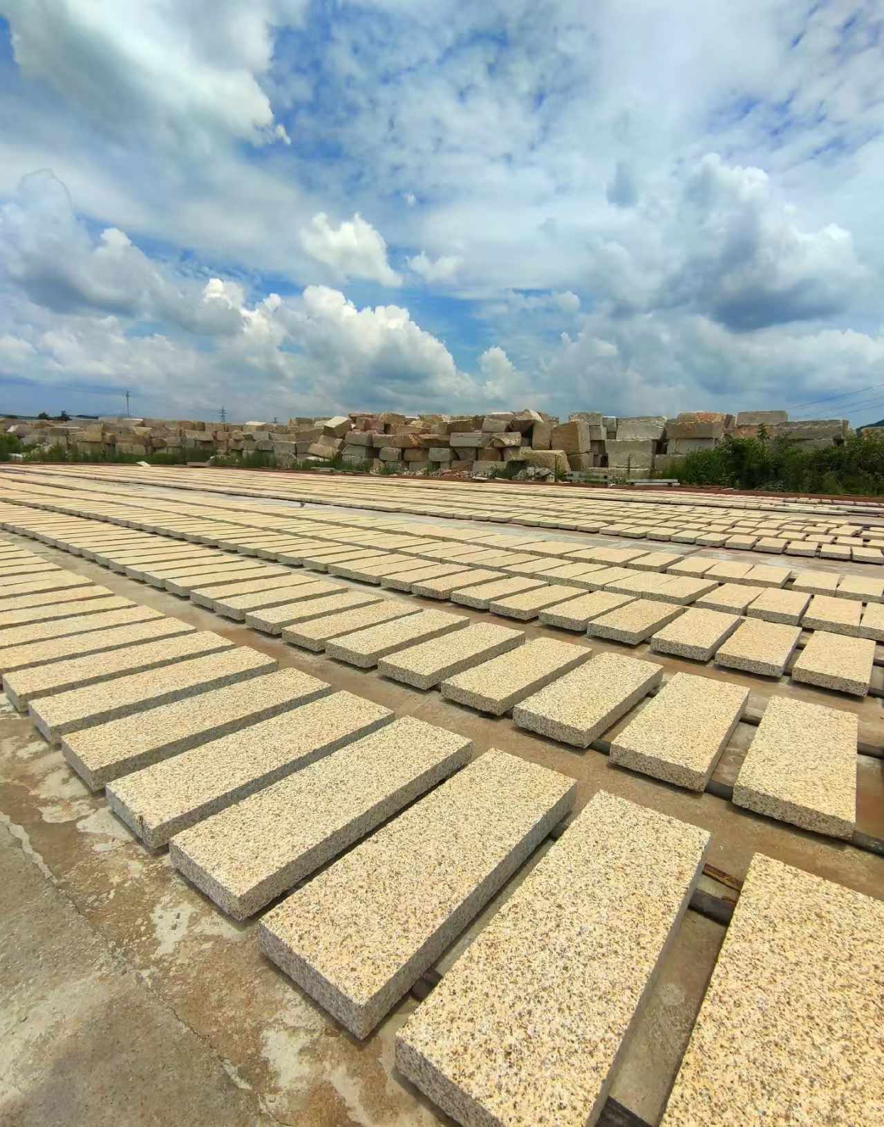贺州 黄金麻荔枝面花岗岩石材地铺石防护中