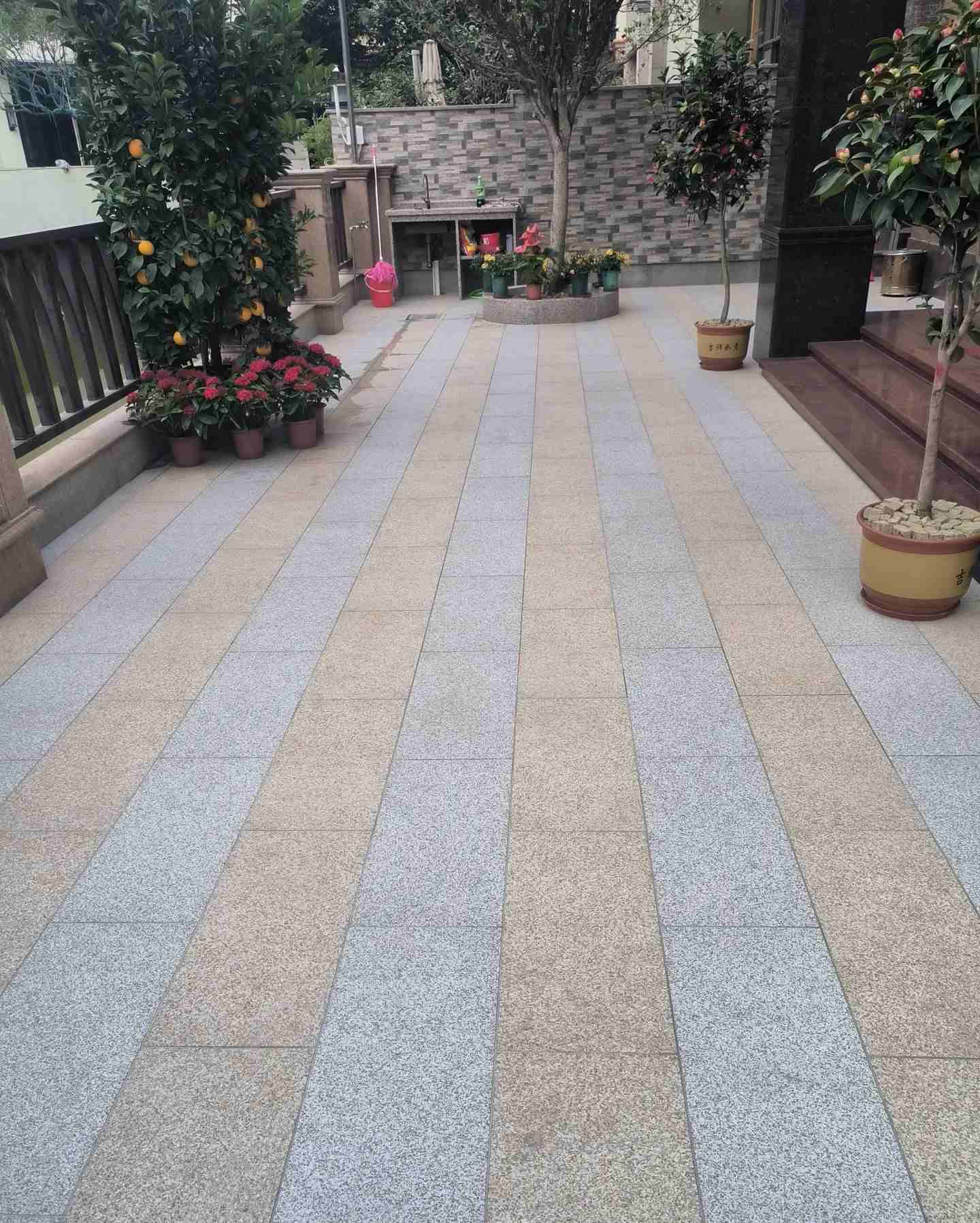 贺州 黄金麻白麻荔枝面庭院铺装展示