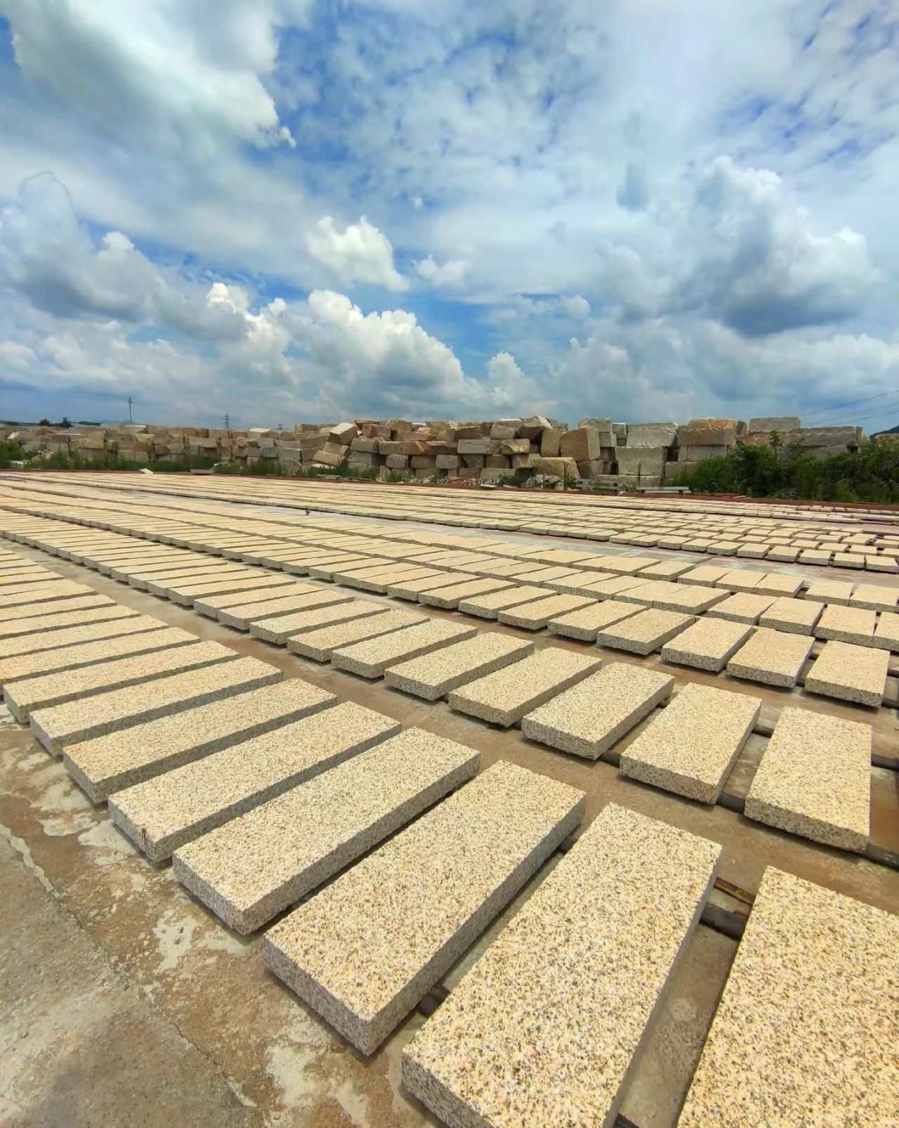 贺州 黄金麻花岗岩荔枝面地铺石防护中